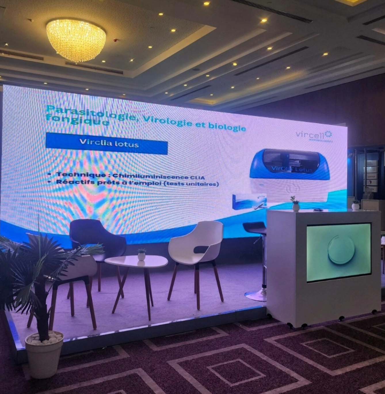 organisation evenement tunisie